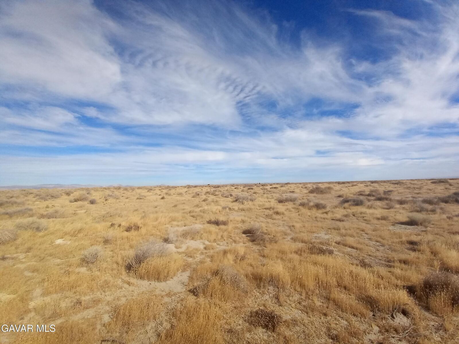 Property Photo:  Vic Avenue D6 &Amp 60 St West  CA 93536 