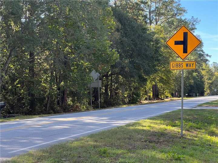 Property Photo: 0 US Highway 17 Highway GA 31565