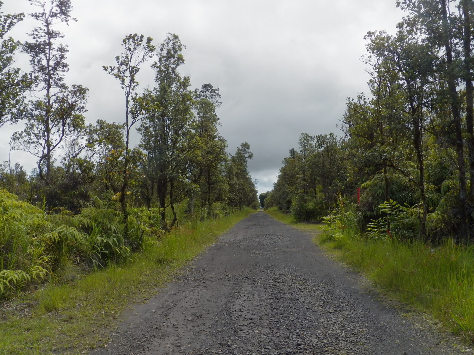 Property Photo:  Naia St  HI 96771 