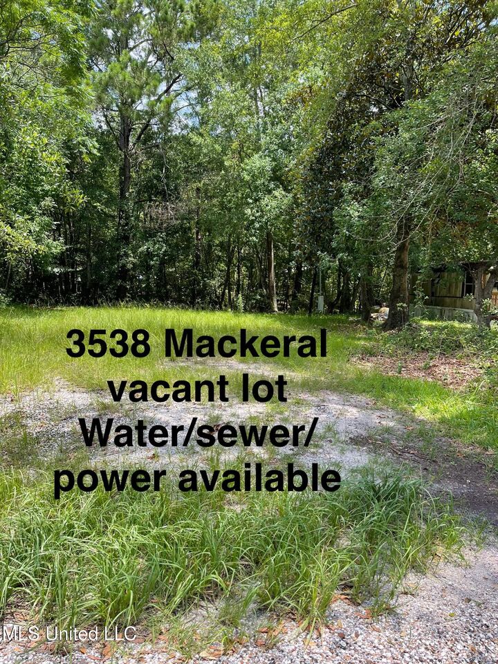3538 Mackeral Drive  Gautier MS 39553 photo