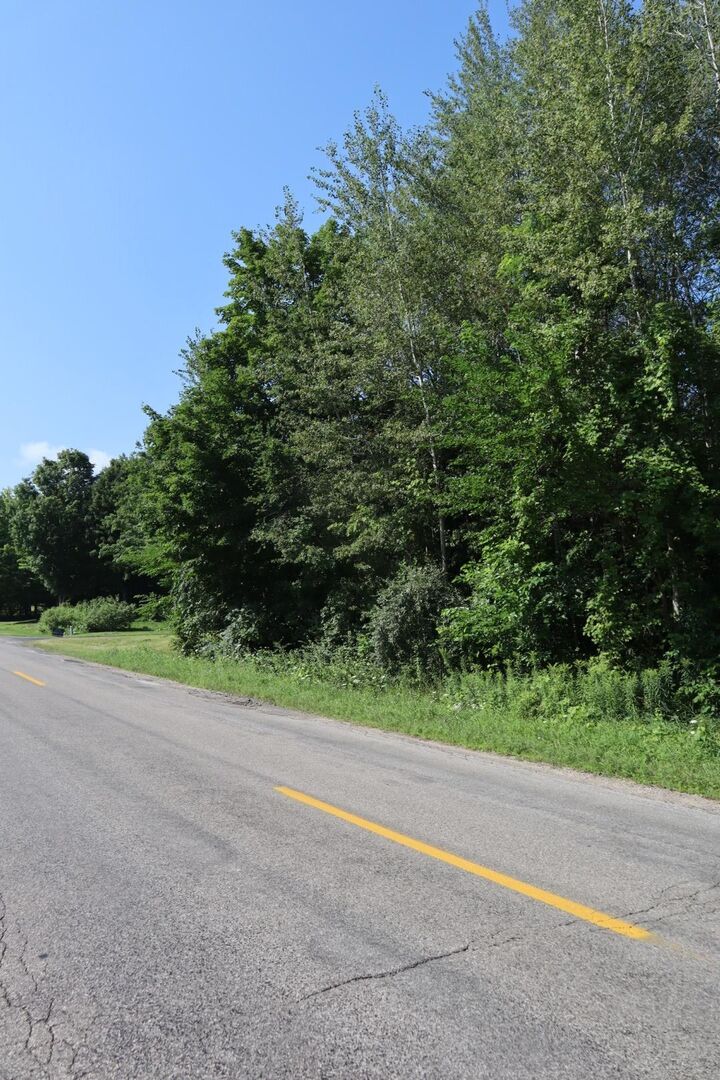 Property Photo:  0 Harris Road  MI 49684 