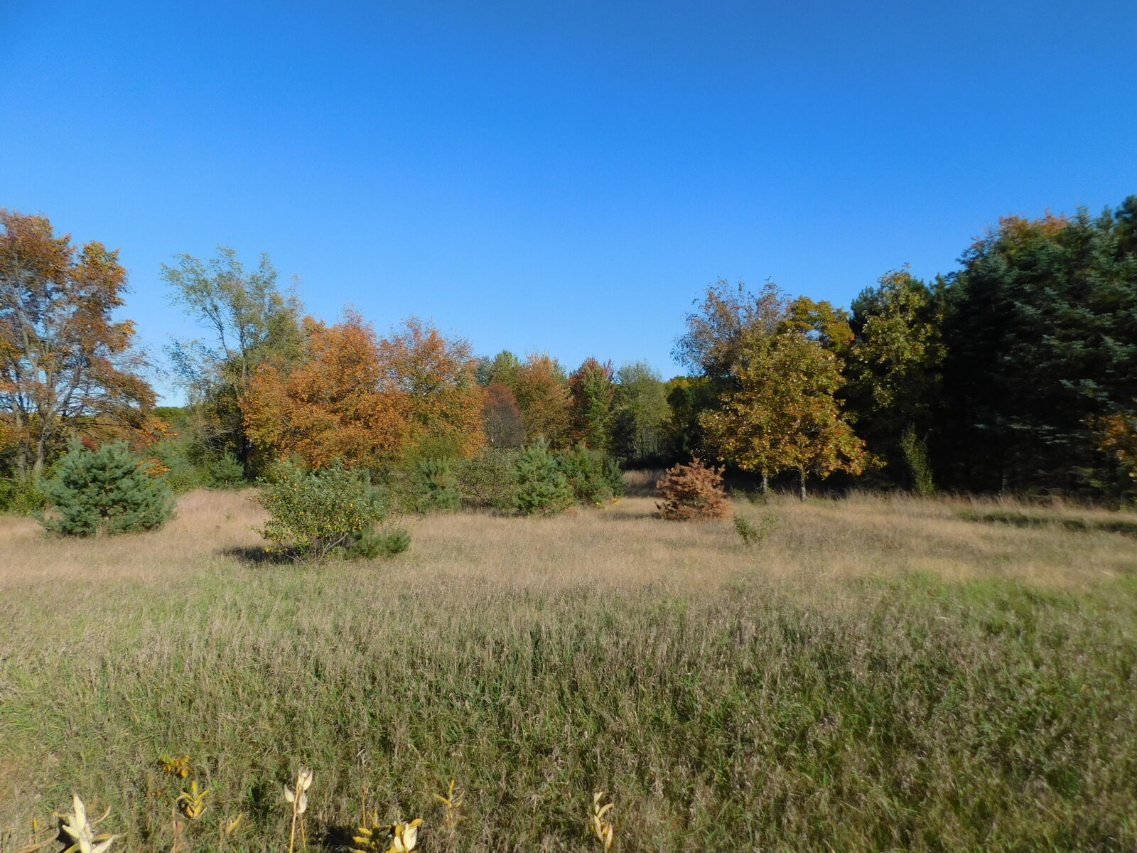 Property Photo:  10 N Ravenna Road  MI 49451