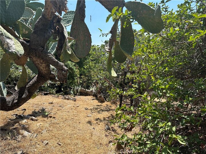 Property Photo:  1941 Delta St.  CA 90026 