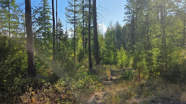 Nhn North Fork Road  Polebridge MT 59928 photo