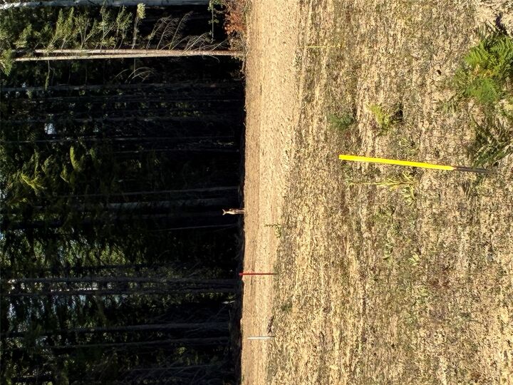 Property Photo:  42 Elk Meadows Lane  MT 59844 