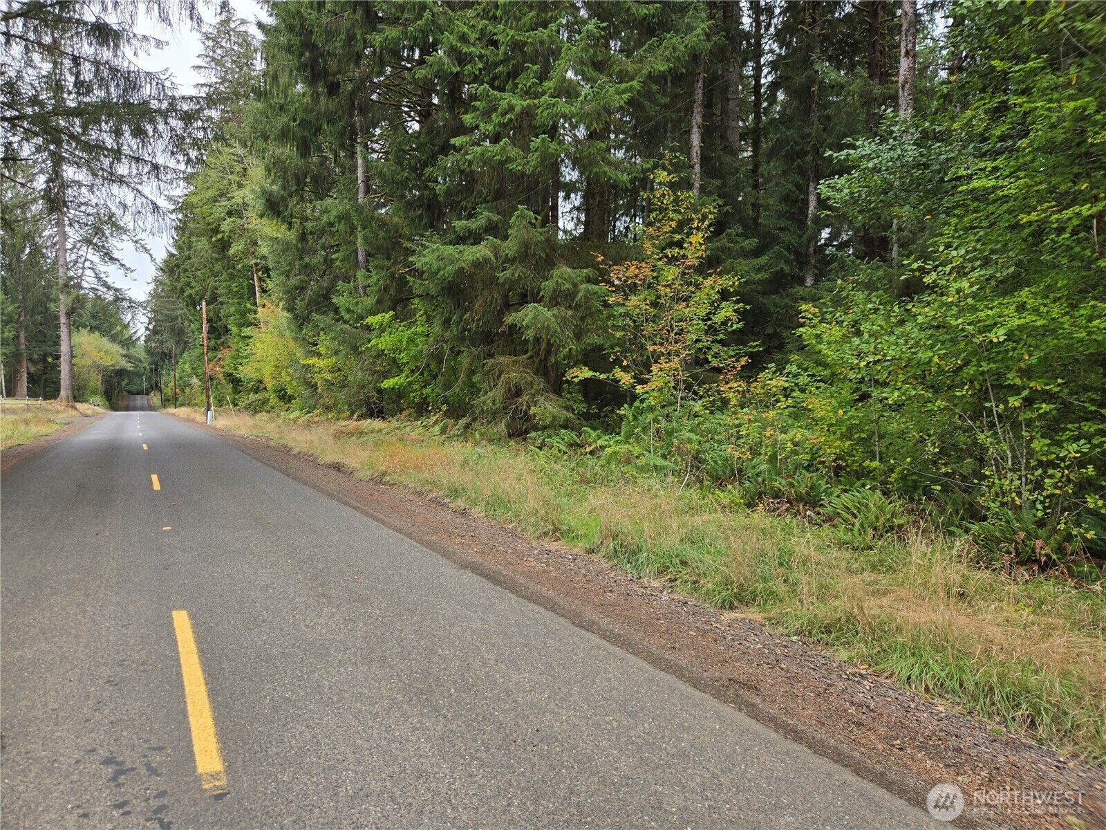 Property Photo: 0 Lund Road WA 98537