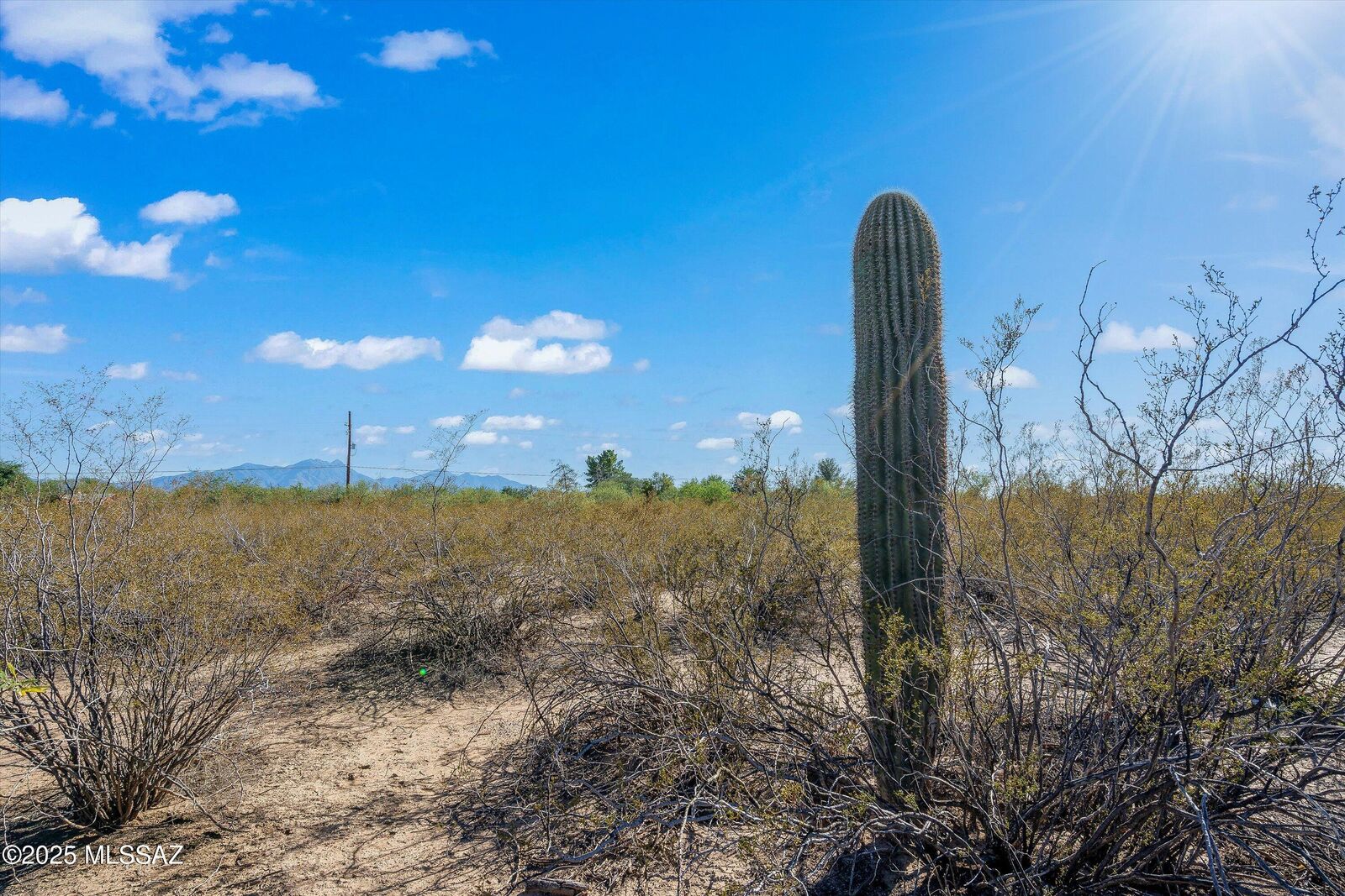 Property Photo: 3955 E Dawson Road AZ 85629