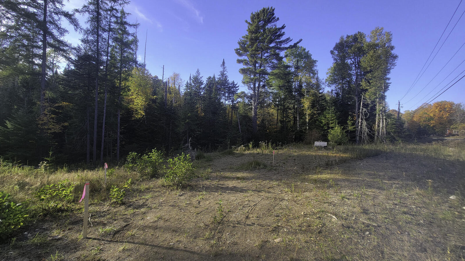 Property Photo: 0 Bear Cub Lane NY 12946