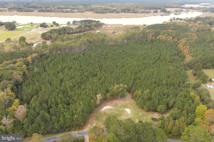 Property Photo: 24959 Collins Wharf Road MD 21822