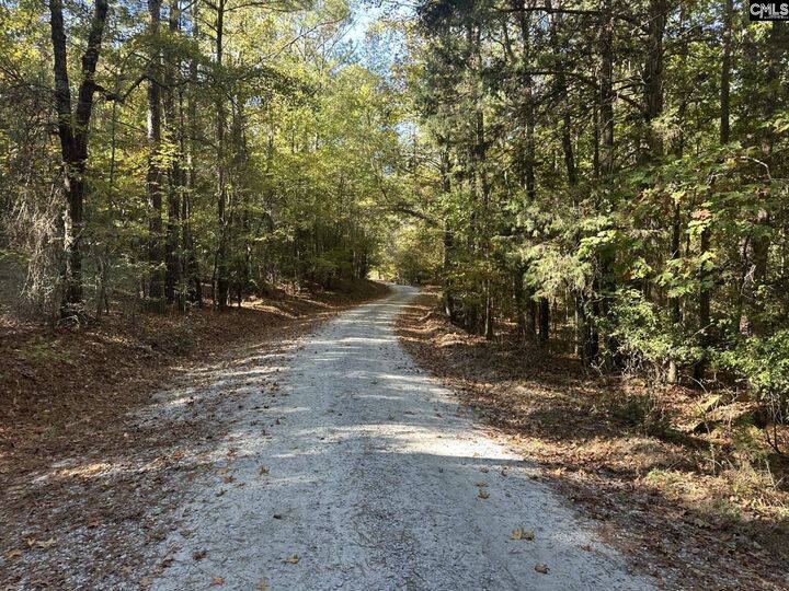 Property Photo: 00 Douglas SC 29126