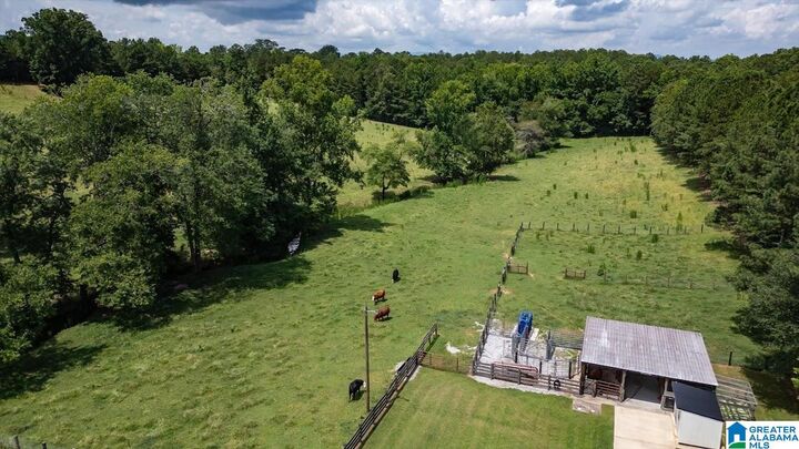 Property Photo:  00 County Road 19 0  AL 36264 