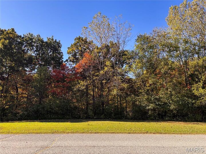 1 Manderly Place Drive  O'Fallon MO 63366 photo