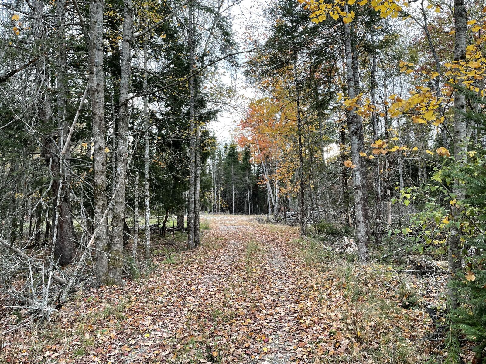 Property Photo: 3306 Mariaville Road ME 04605