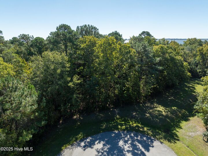 Property Photo:  186 Snow Goose Lane  NC 28460