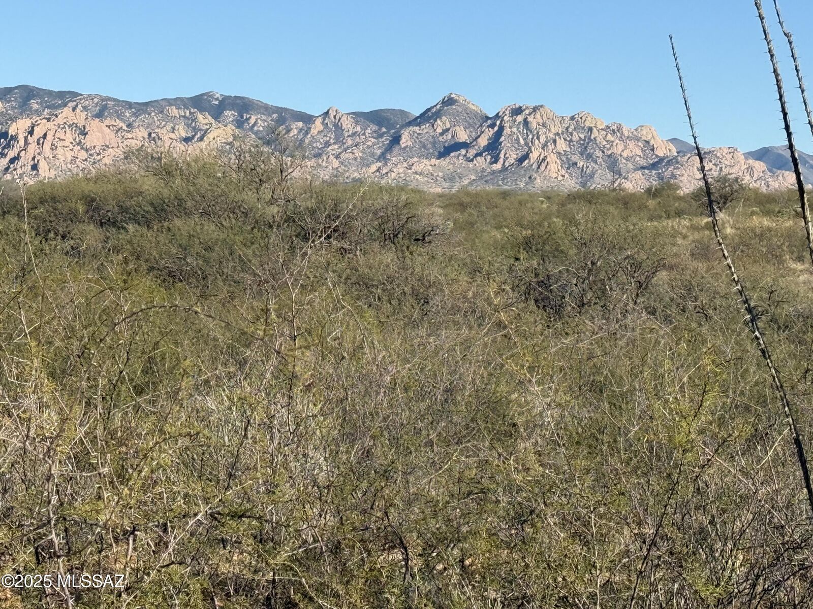 Property Photo: Lot 105 E Cottontail Trail AZ 85630