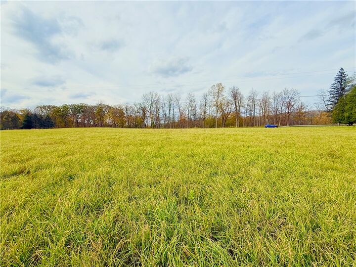 Property Photo: 0 White Church Road NY 14817