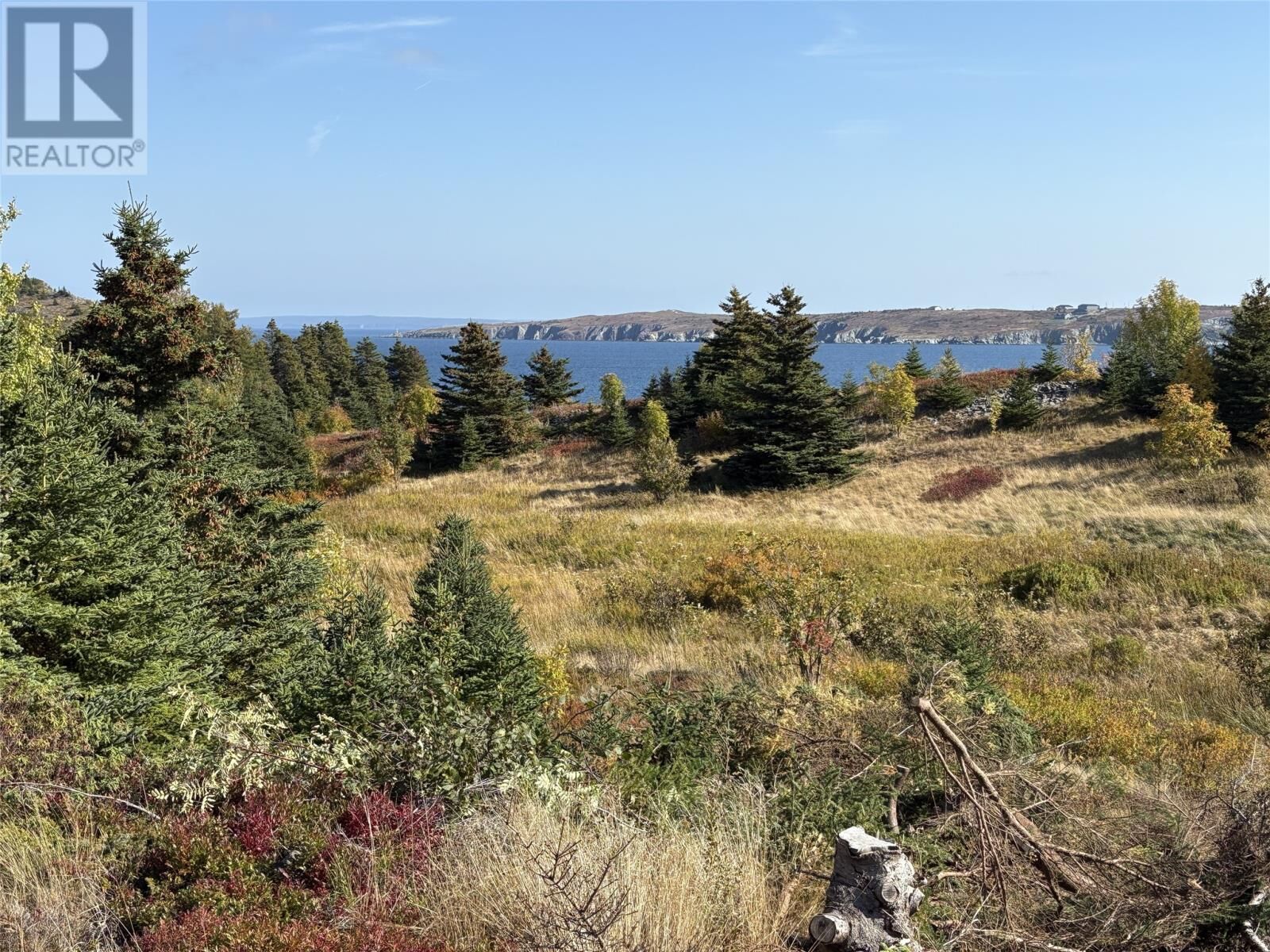 Property Photo:  742-744 Water Street  NL A0A 1G0 