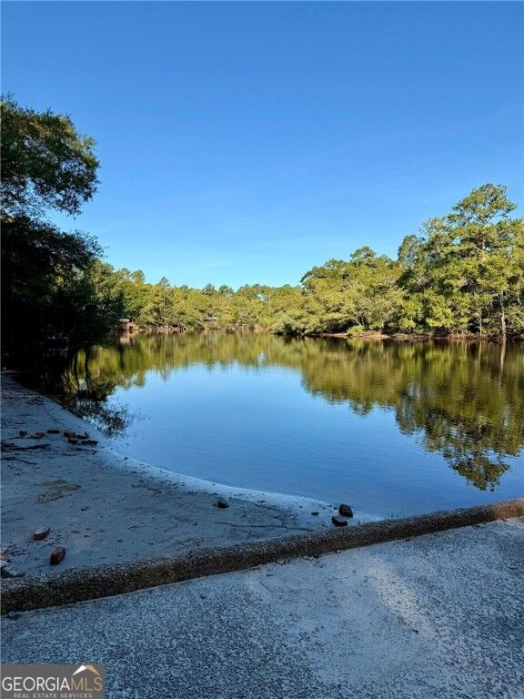 Property Photo: 0 Warners Landing Road GA 31543