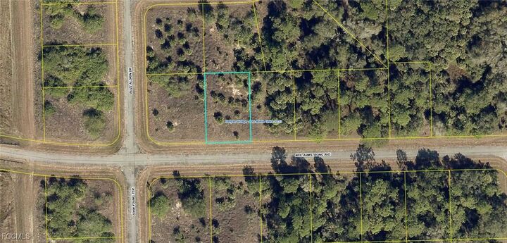 Property Photo:  222 Neil Armstrong Avenue  FL 33935