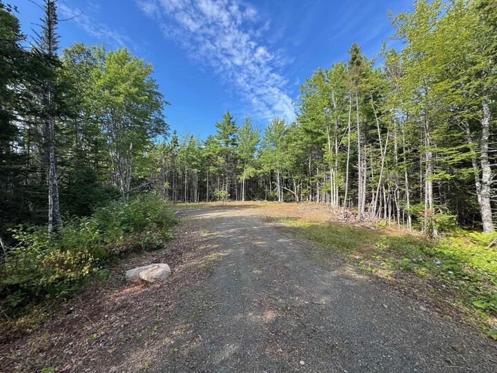Property Photo:  Marble Mountain Road Redbird Drive, Big Harbour Centre  NS B0E 2Y0 
