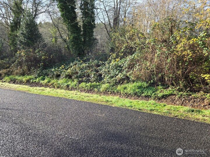 Property Photo: 0 Nka Kendrick And Wier Street WA 98586