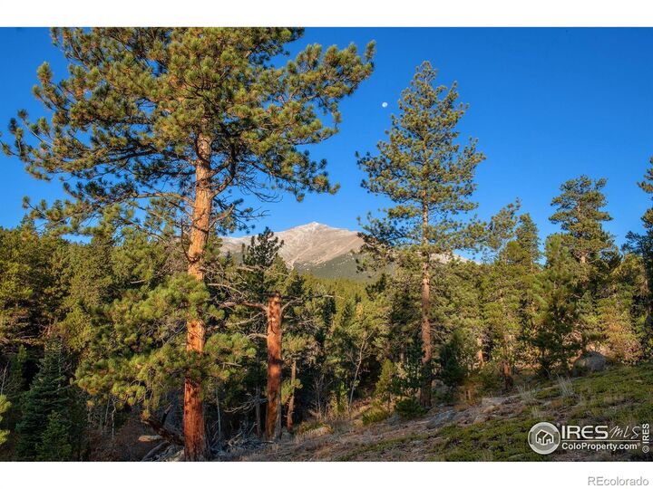 Property Photo:  1997 Big Owl Road  CO 80510 