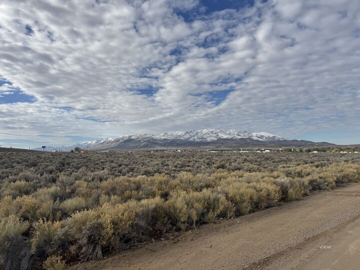 Property Photo:  Tbd US Hwy 93  NV 89835 