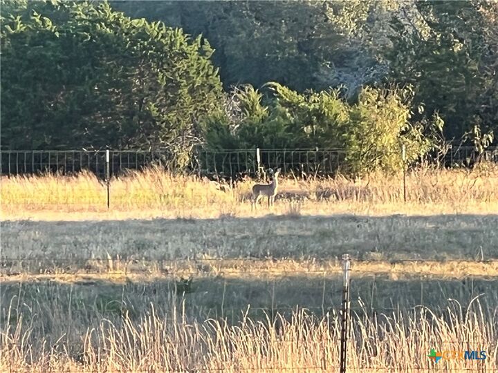 Property Photo: 765 & 743 County Road 3371 TX 76539