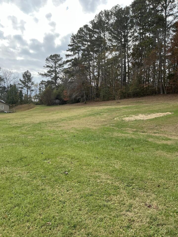 Property Photo:  5602 95 Highway  GA 30739 