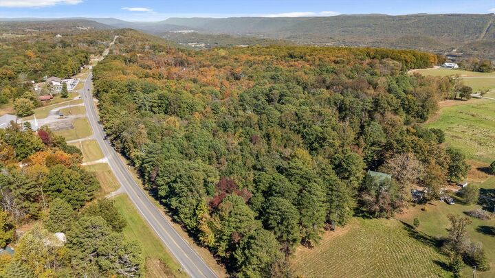 Property Photo:  693 Alabama Highway 75  AL 35966