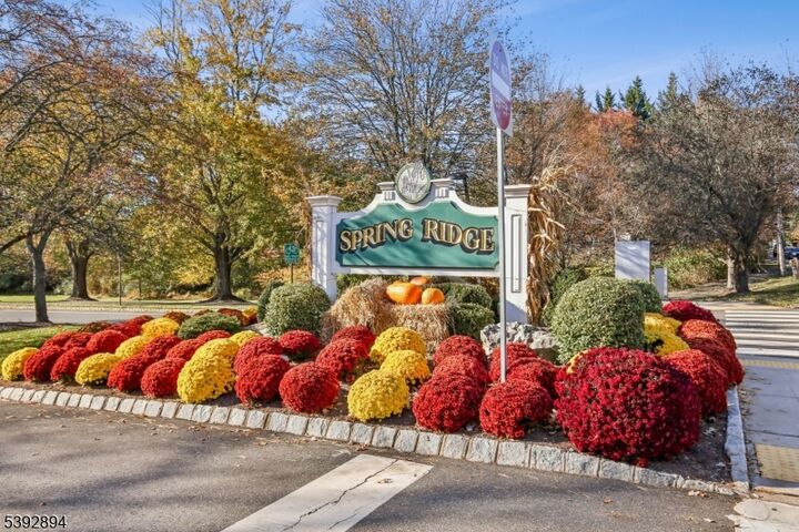 155 Jamestown Rd  Bernards Twp. NJ 07920 photo