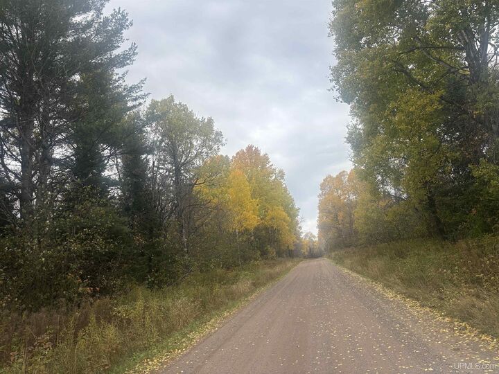 Property Photo:  7899 Dunham Road  MI 49947-1111 