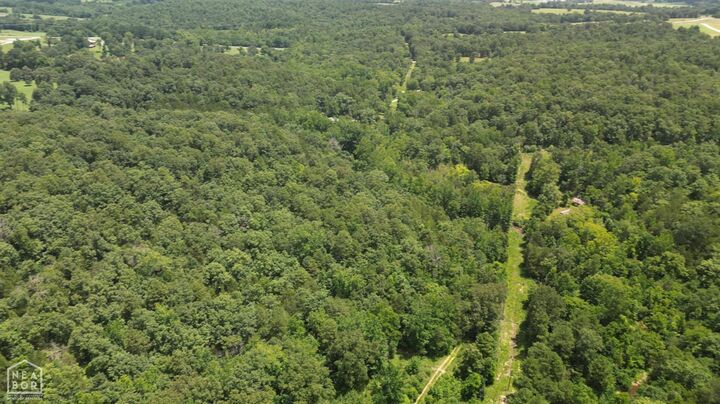 Property Photo:  881 Driftwood Drive  AR 72566
