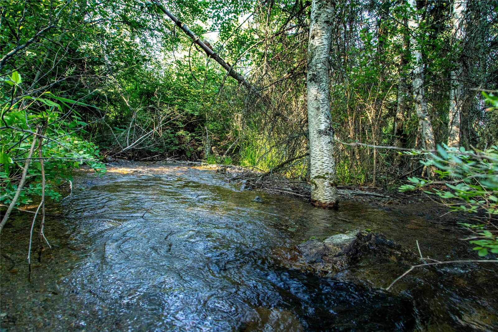 Property Photo:  Nhn Windhaven  MT 59911 