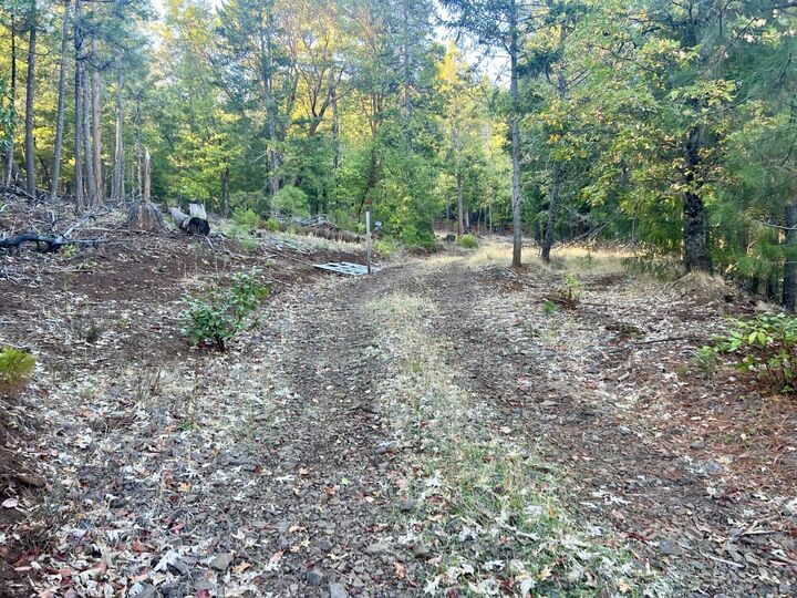Property Photo:  501 Elder Mill Road  OR 97541
