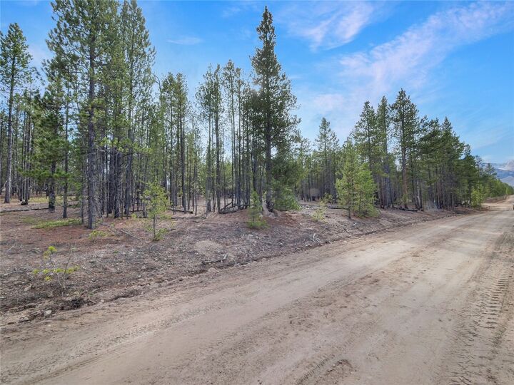 Property Photo:  198 Fir Drive  CO 80461