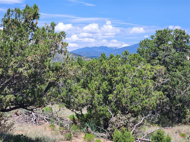 Property Photo: 20 Goathead Ct NM 87508