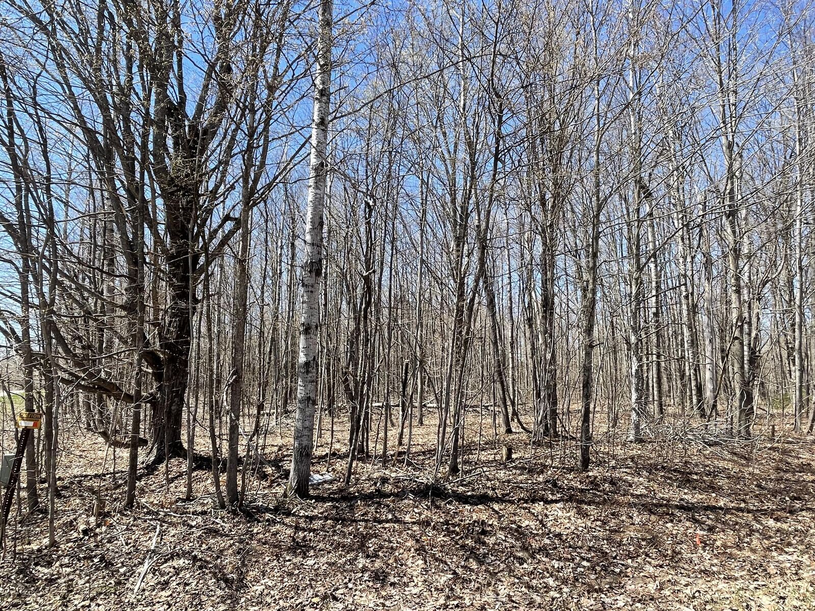 Property Photo:  V/L Lot 78 Montrose Drive  MI 49659 