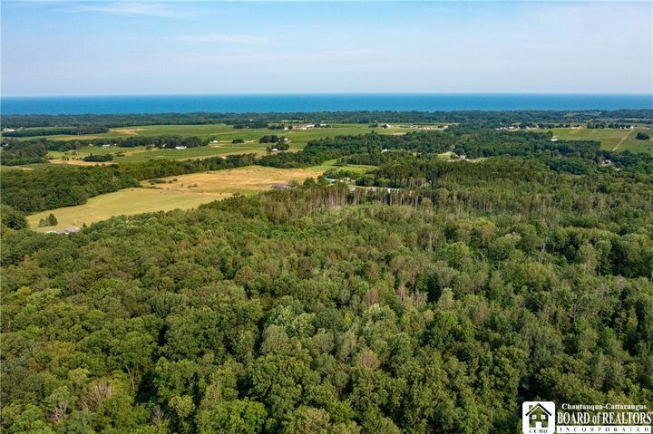 Property Photo:  8170 Campbell Road  NY 14769 