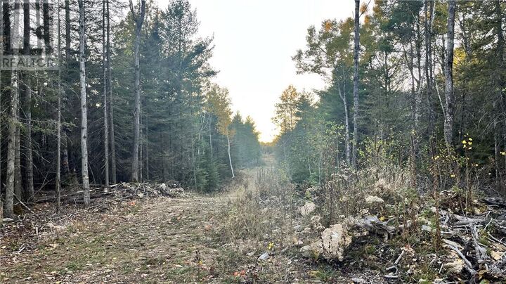 Na Checkerboard Lane  Gore Bay ON P0P 1H0 photo