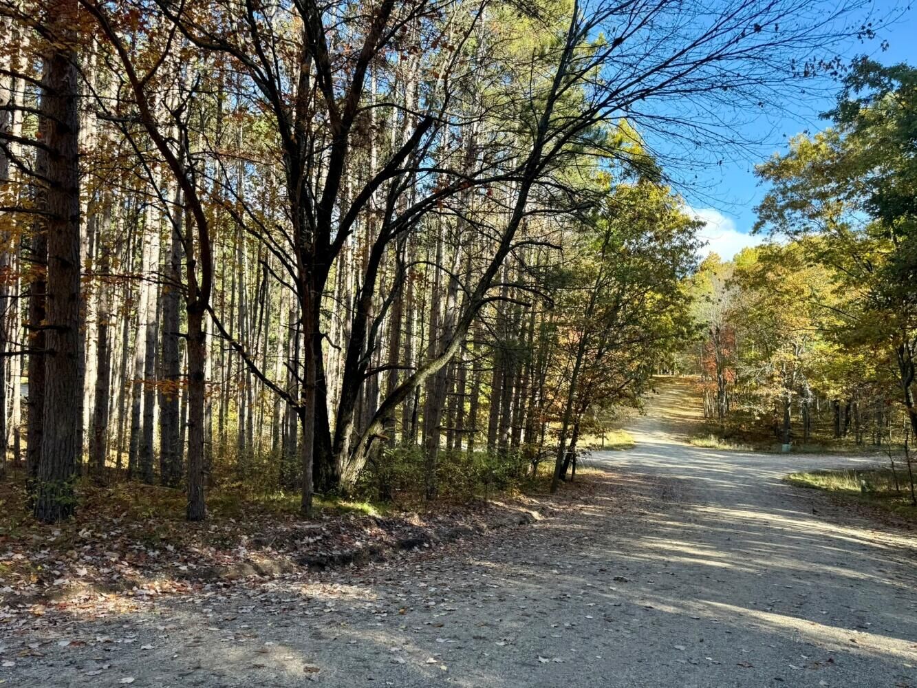 Property Photo: 12426 Lone Wolf Trail MI 49346