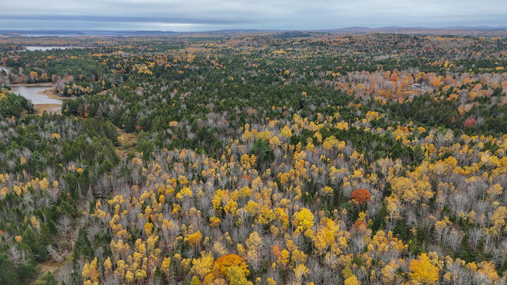 Property Photo:  Lot 3-B West Branch Road  ME 04605