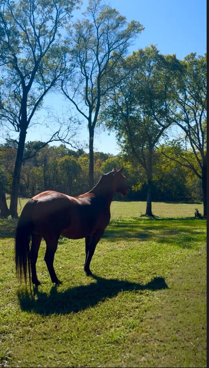 Property Photo:  7924 Nolensville Rd  TN 37014