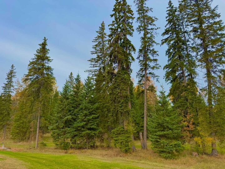 Property Photo: 202 Meadow Ponds Drive AB T4T 1A7