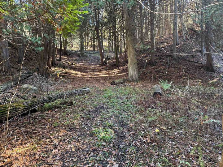 Property Photo:  627383 15 Side Road  ON L0N 1M0 