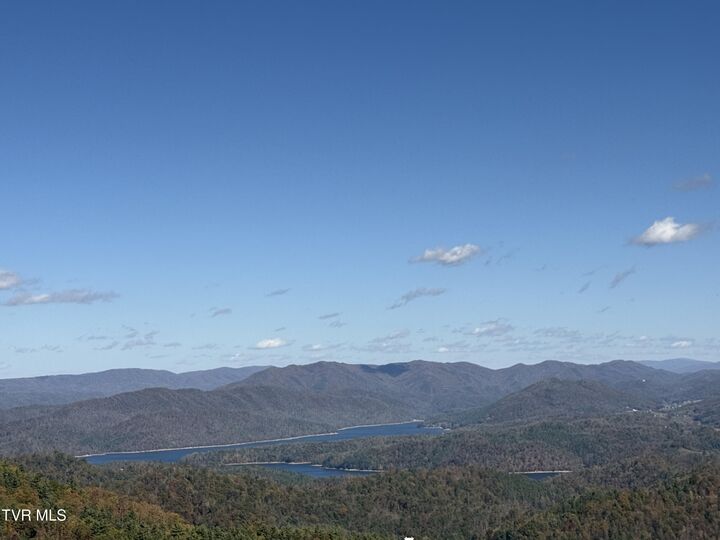 Property Photo:  48 Locust Lane  TN 37640 