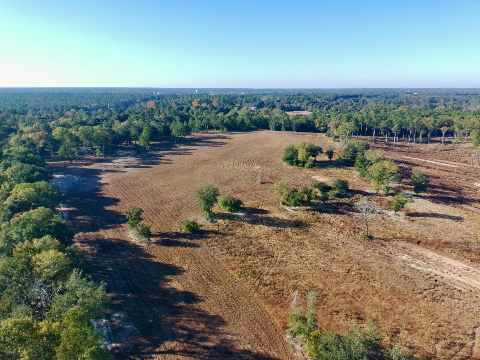 Property Photo:  65 Acres Wagener Road  SC 29801 