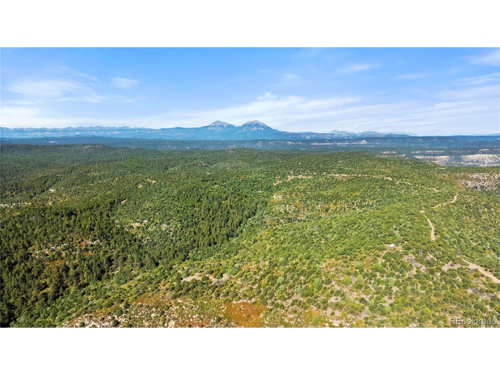 Property Photo: Tollerburg Rd CO 81082