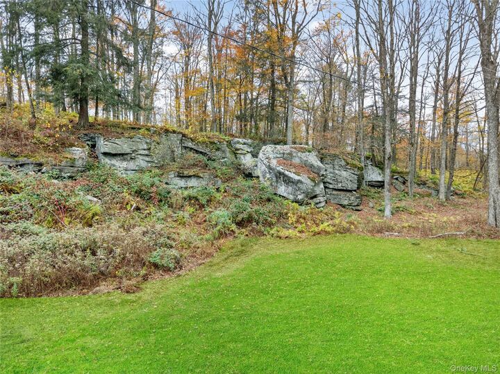 Property Photo:  1041 Hurd Road  NY 12783 