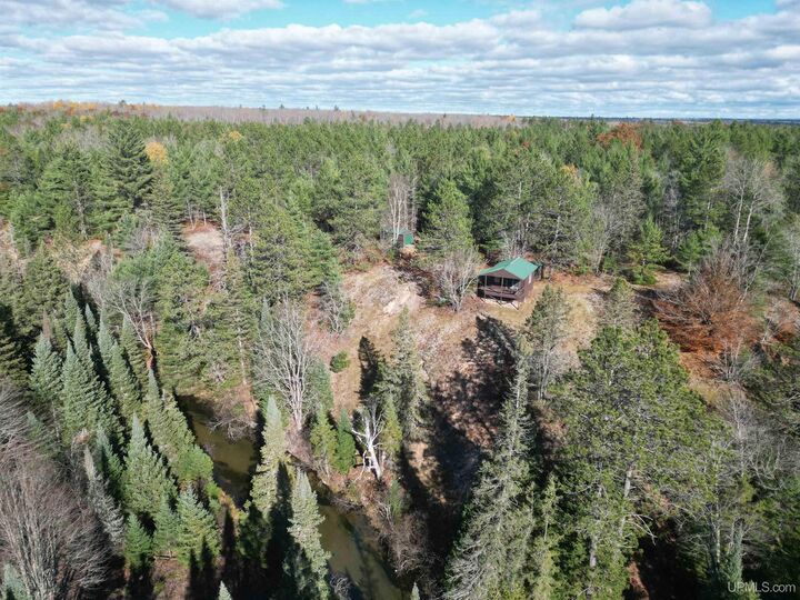 Property Photo:  Tbd Co Rd 442 Road  MI 49853 